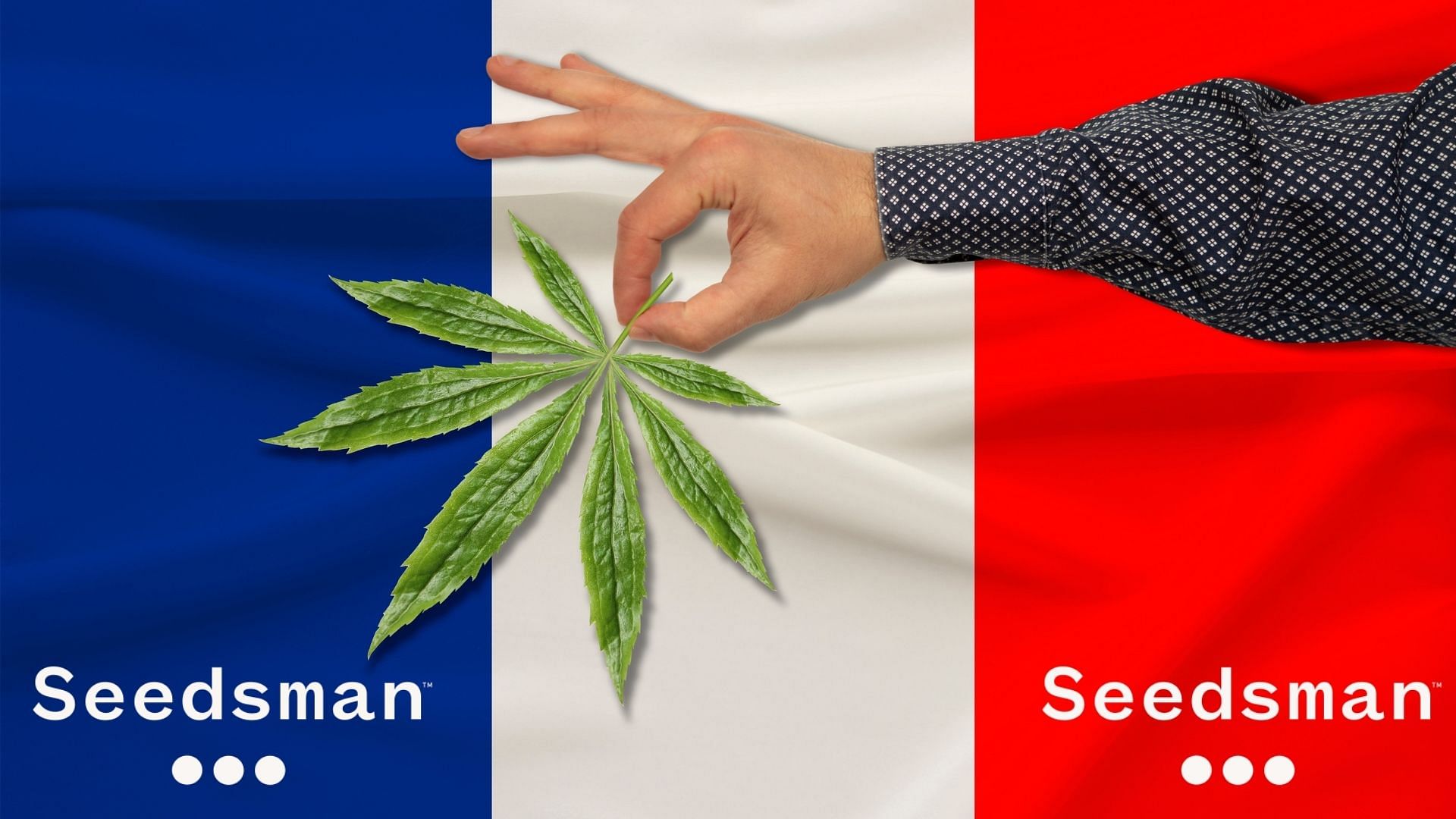 La France va t elle légaliser le cannabis