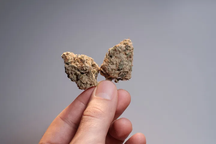 how to spot weed grown with PGRs