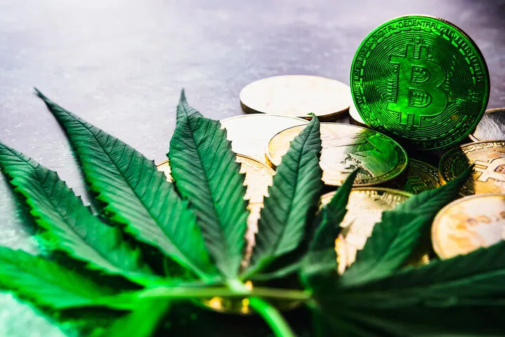 should you use crypto to pay for seeds?