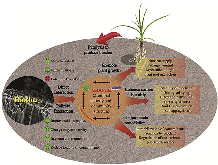nutrient mobility in soil