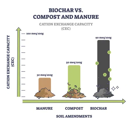 use leftovers to make biochar