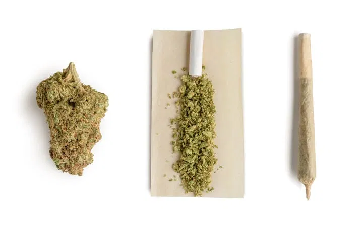 what is a joint