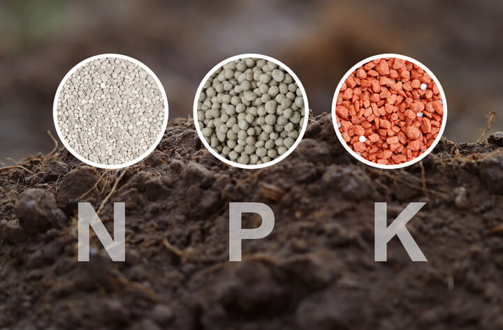 NPK essential cannabis nutrients