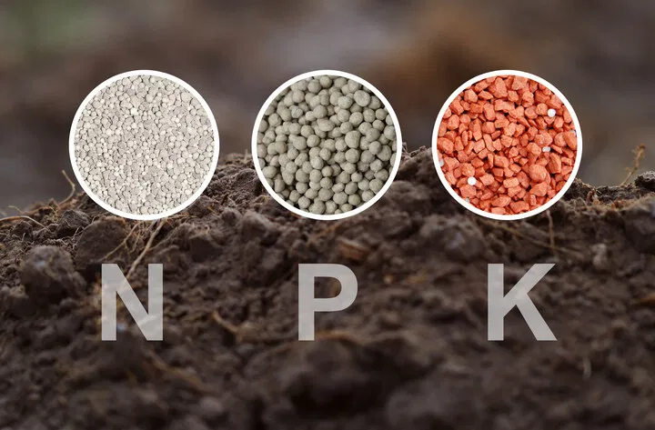 NPK essential cannabis nutrients