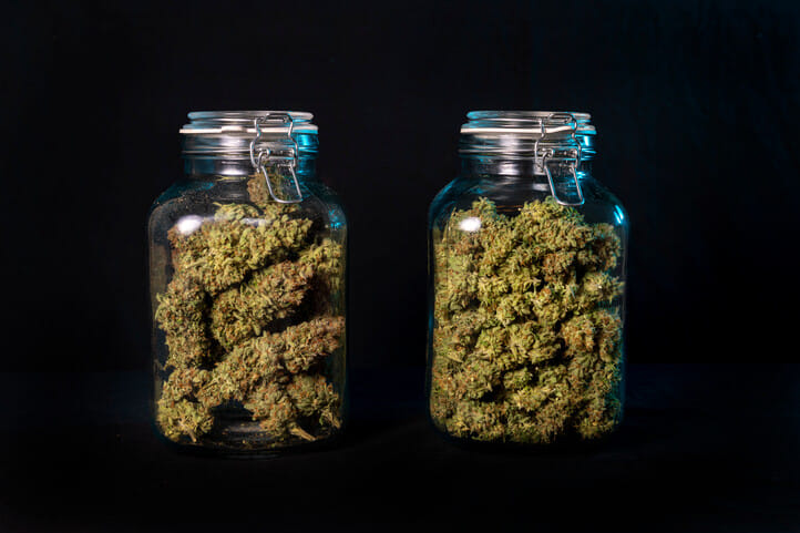 why should you cure cannabis