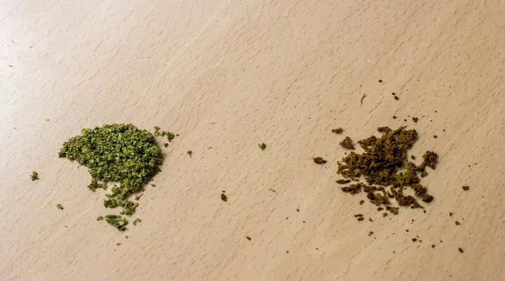 cannabis flower v hash