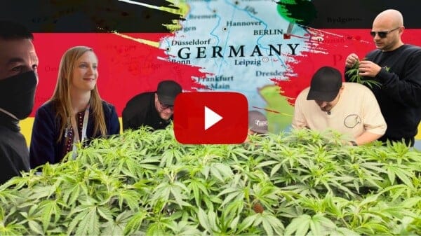 Is Legal Cannabis in Germany Working? (FULL DOCUMENTARY)