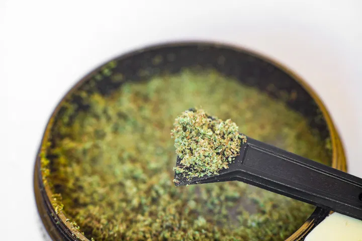 what kief looks like