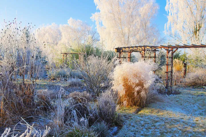 growing cannabis outdoors in winter
