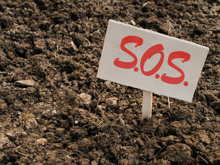 poor soil quality affects nitrogen uptake