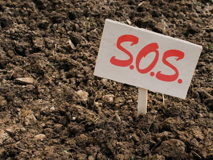 poor soil quality affects nitrogen uptake