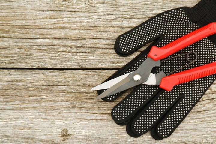 Cannabis Pruning Shears