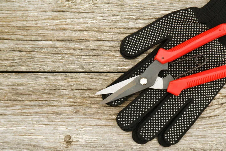 Cannabis Pruning Shears