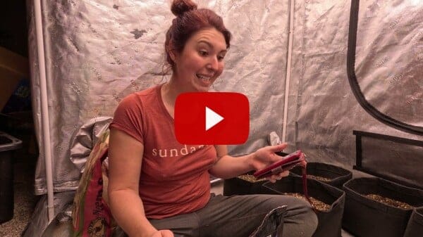 Revitalize Your Garden: Recycle Soil with Sustainable Organic Fertilizers