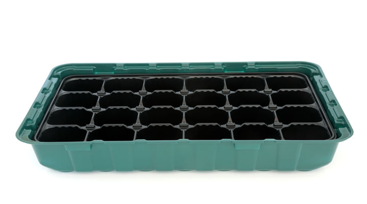 cannabis seed germination tray method