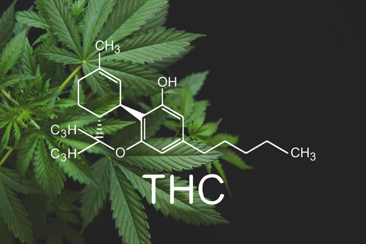 what is thc?