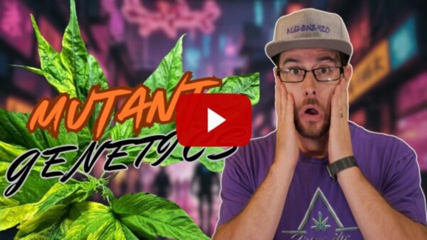 THESE are the CRAZIEST PLANTS I'VE EVER SEEN!!
