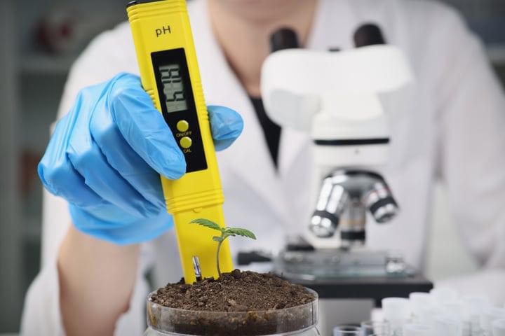 Common grower mistakes soil pH