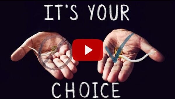 The RIGHT GENETICS for your NEXT GROW