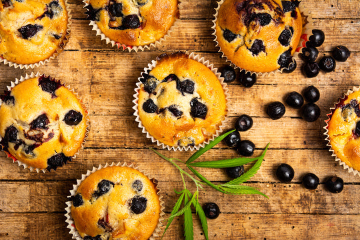 blueberry kraut muffins