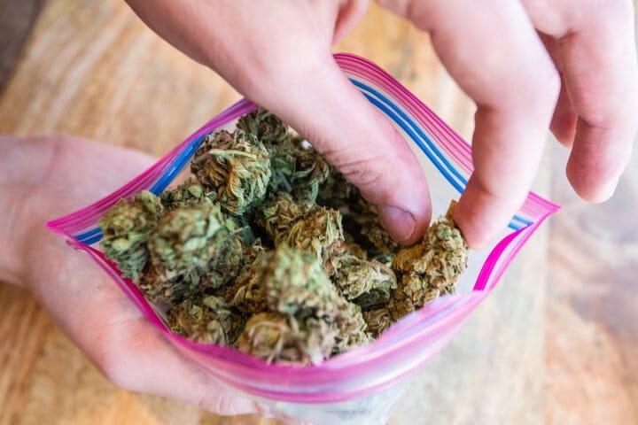 why freeze marijuana