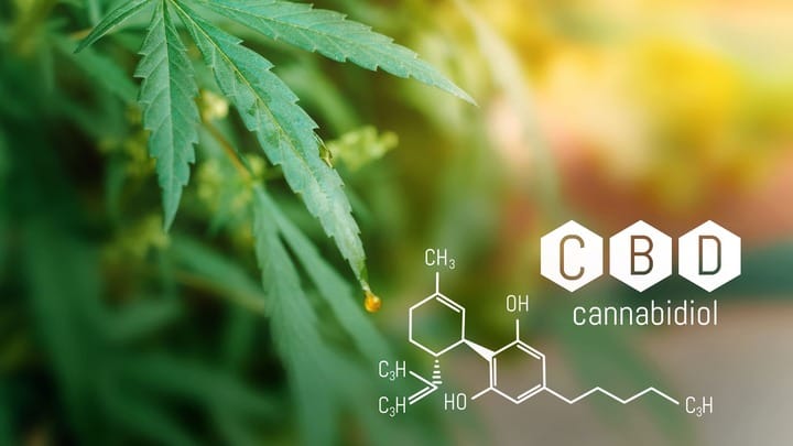 cannabidiol in the uk