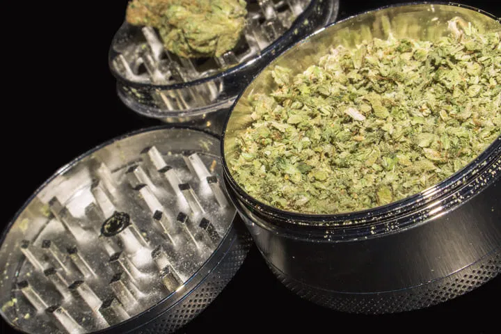 grind cannabis properly