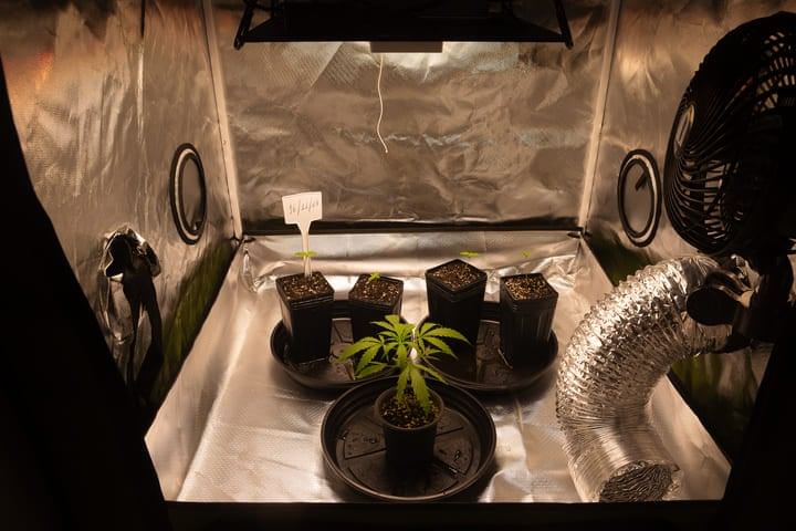 common grower mistakes inadequate equipment