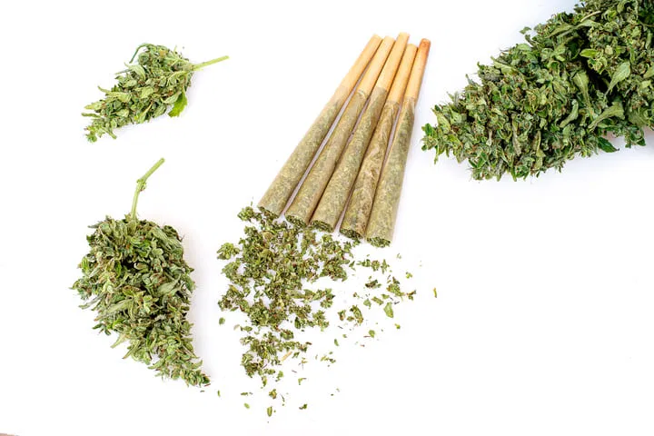 how to smoke weed cannabis joints