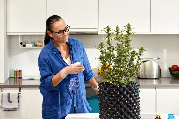 smart pots for outdoor growing
