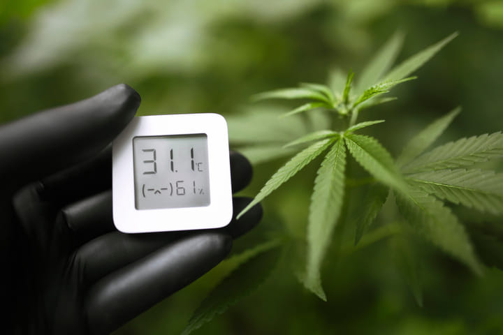 the right temperature for cannabis