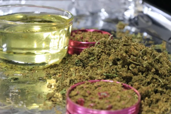 which carrier oil for canna oil