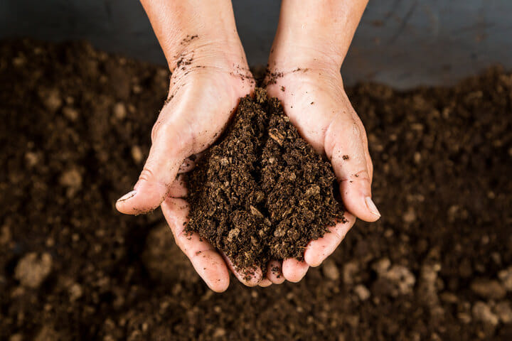 compost as much as possible for soil health