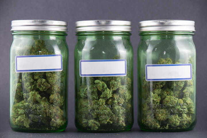 how far to fill jar when curing cannabis