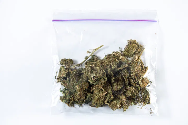 drying cannabis in a paper bag