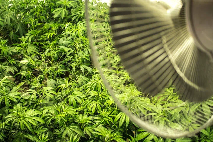 ensure good ventilation and airflow