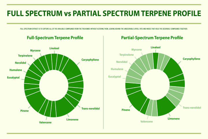 the entourage effect