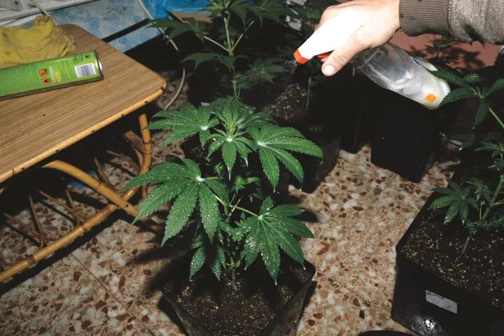 Foliar feeding for nutrient lockout