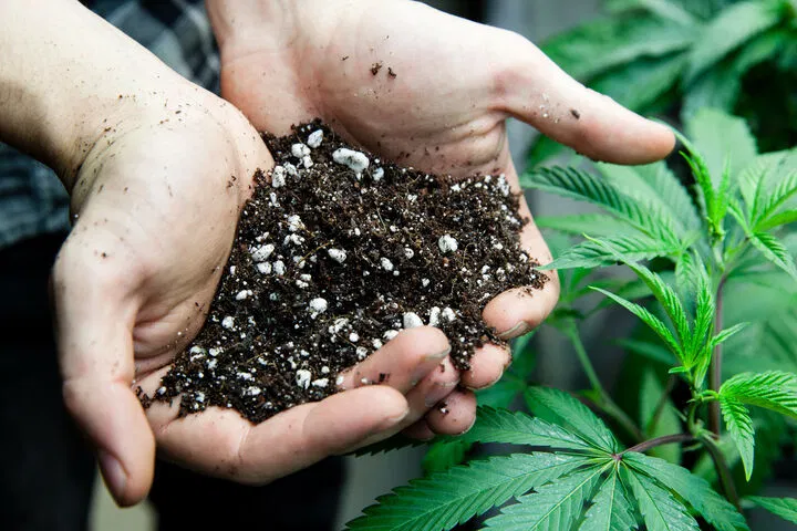 set up your environment before planting
