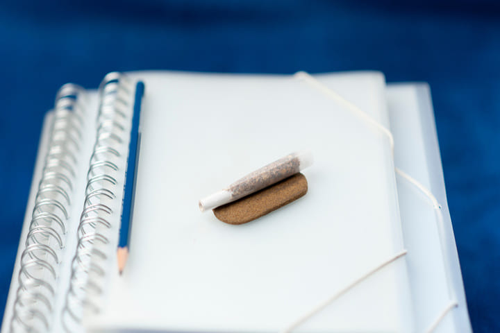 keep a diary of your grow tent grow