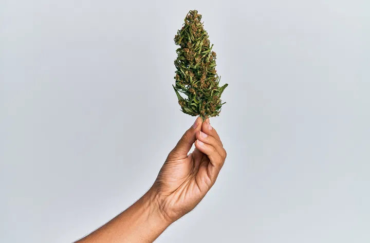 natural cannabis is best