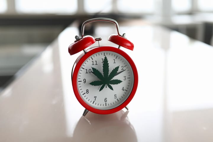 how long do cannabis seeds take to germinate