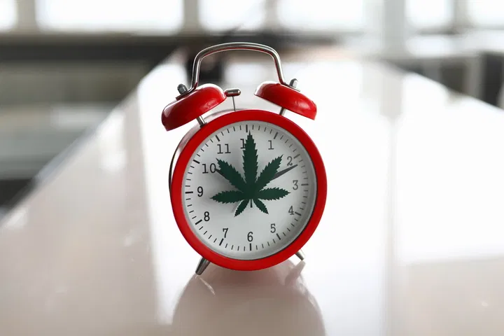 how long do cannabis seeds take to germinate