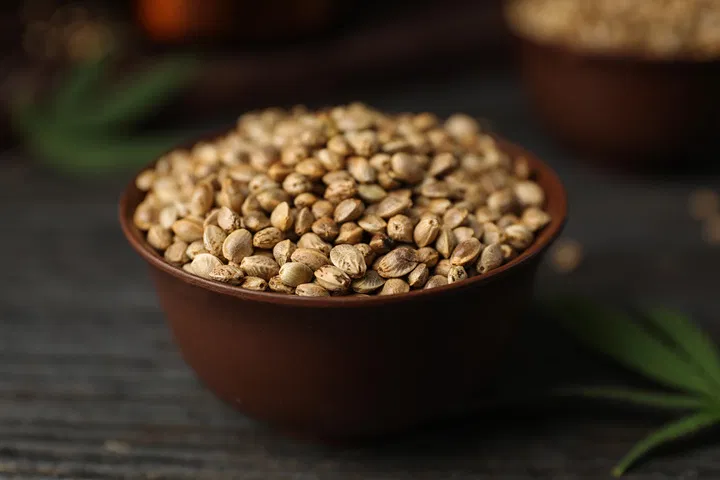 the best way to store cannabis seeds