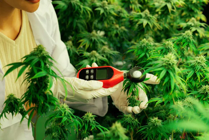 invest in environmental monitors