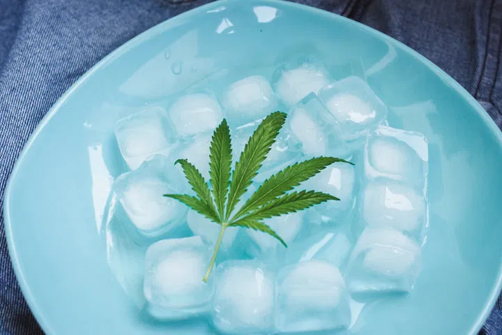 ice and cannabis for washing