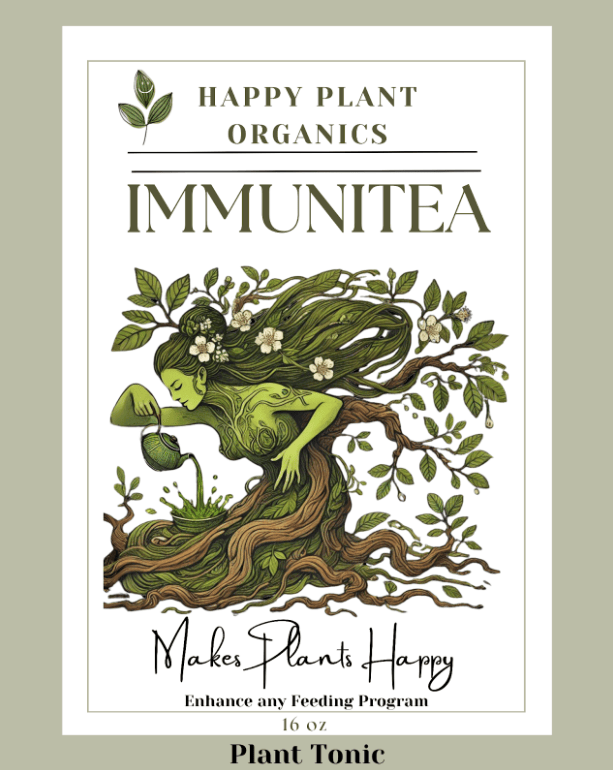 Queen of the Sun Grown Immunitea