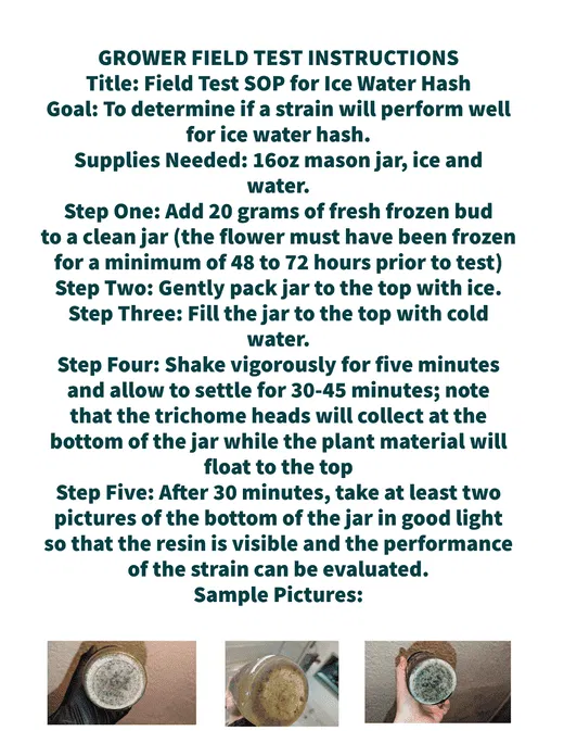 test wash method for making rosin