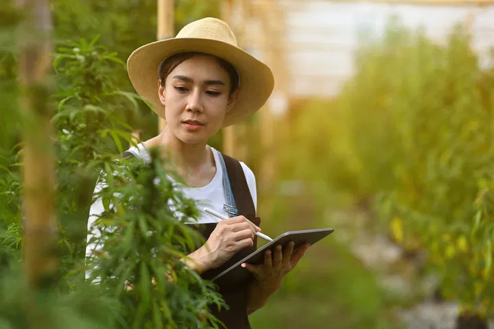 keep a journal to track your grow