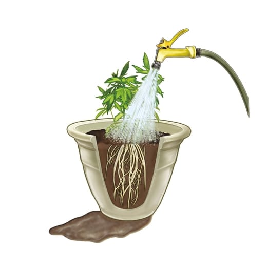 leaching or flushing plant